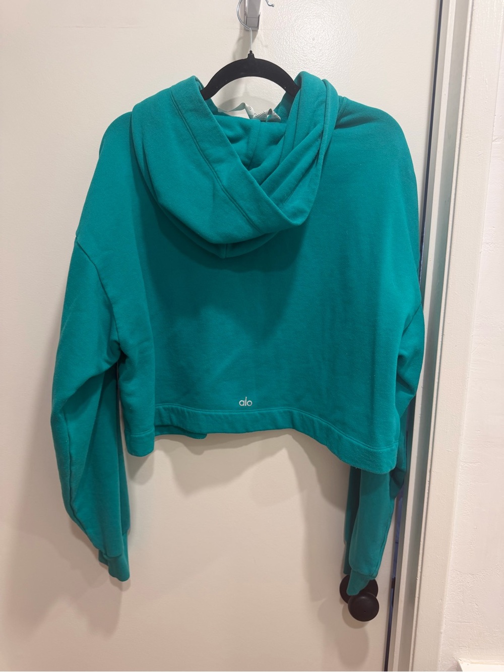 ALO Yoga Bae Hoodie - Spruce Green - Picture 3 of 5